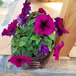 Bed and breakfast Guest House-restaurant St. George / къща за гости-ресторант свети георги Gabrovo