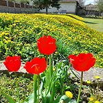 Guest House-restaurant St. George / къща за гости-ресторант свети георги 3* Gabrovo