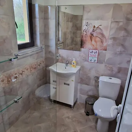 Guest House-restaurant St. George / къща за гости-ресторант свети георги 3* Gabrovo