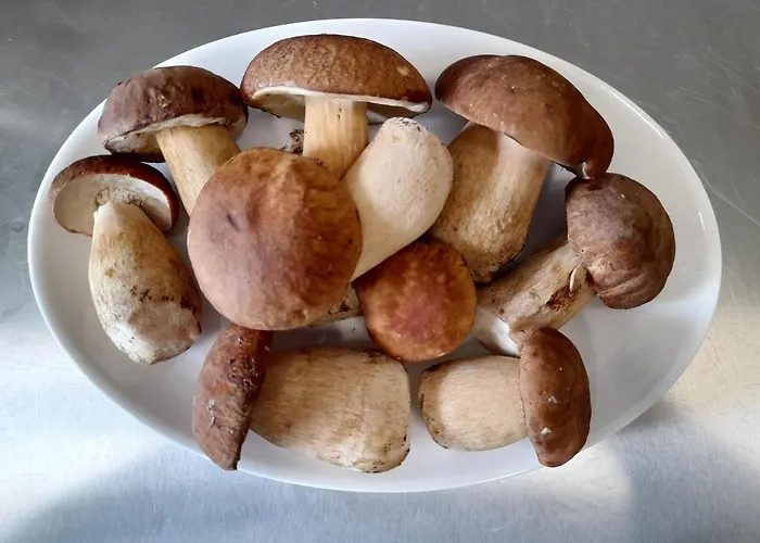 Frühstückspension Guest House-restaurant St. George / къща за гости-ресторант свети георги Gabrowo